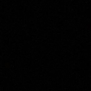 Meet your Posher, Maia